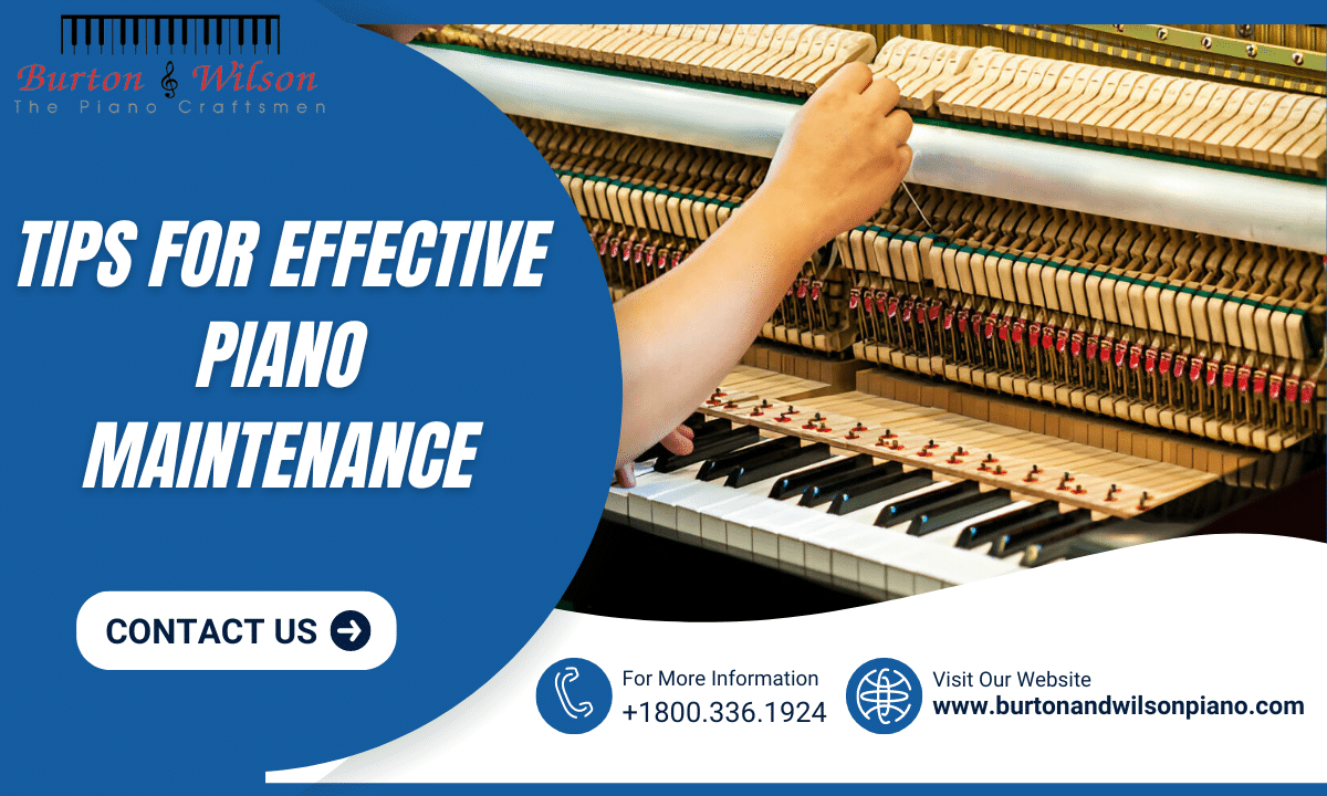 Piano Maintenance
